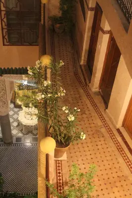 a hallway with a bunch of plants on the floor at Riad Les Chrifis Navette Aéroport 24 sur 24 in Fès