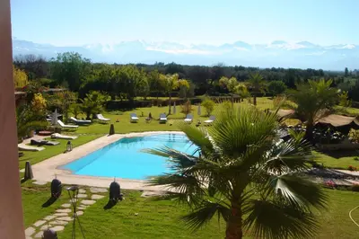 a view of the pool at a resort with a palm tree at VILLA CATHERINE MARRAKECH in Marrakech