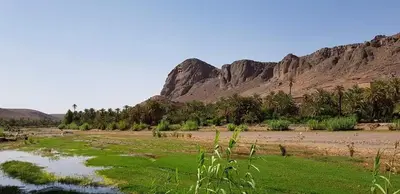 a field of grass with a mountain in the background at ecolodge bivouac des aigles in Ouarzazate