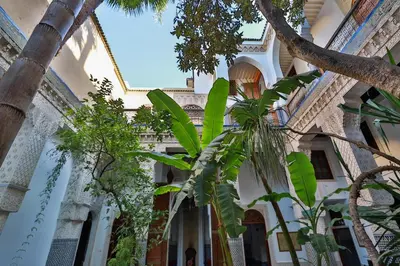 a palm tree in front of a building with plants at RIAD LOUDAYA AND SPA in Fès