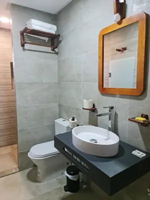 a bathroom with a sink and a toilet and a mirror at Maurice Bonjean in Ifrane