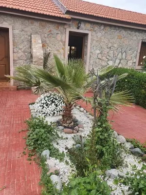 a garden with a palm tree in front of a building at Joli Chalet dans une ferme Pour familles exclusivement près ifrane in Azrou