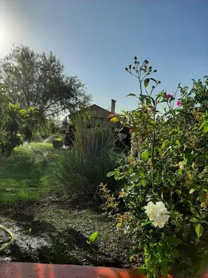 a garden with flowers and plants in front of a house at Joli Chalet dans une ferme Pour familles exclusivement près ifrane in Azrou