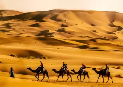 a group of people riding camels in the desert at Merzouga Bohemian Camp in Merzouga
