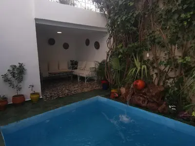 a swimming pool in a yard with plants at Dar Ben Daoud avec piscine et terrasse privee in Fès