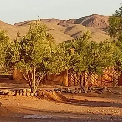 a group of trees with mountains in the background at LESCALE DE OUARZAZATE in Ouarzazate