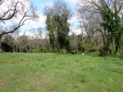 a field of grass with trees in the background at Bed and breakfast in Ifrane