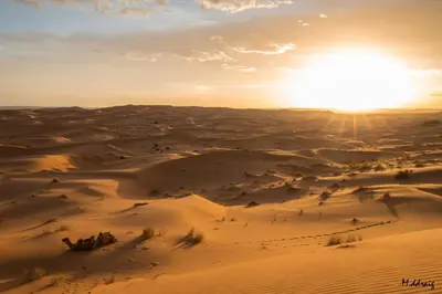 an aerial view of the desert at sunset at Desert Luxury Camp Morocco in Merzouga