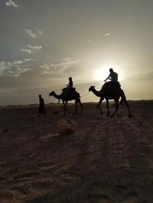 Gallery image of Sahara Desert Trips & Camps in Merzouga