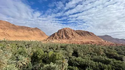a view of a desert with mountains and trees at Guesthouse Panorama Todra in Tinerhir