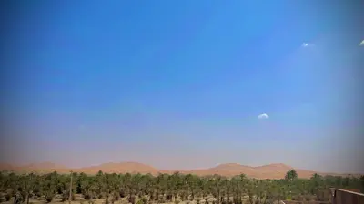 a field of trees with mountains in the background at Luxury Family Apartment in Merzouga