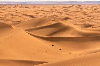 Gallery image of Chegaga desert Trips camp in Mhamid