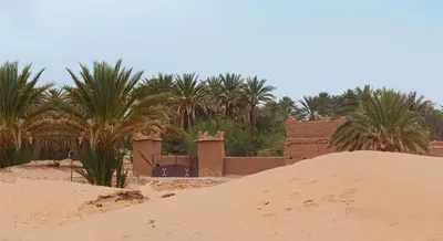 a building in the desert with palm trees in the background at Auberge Tigida in Mhamid