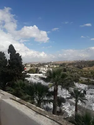 a view of a city with palm trees and buildings at Hôtel Glacier in Fès