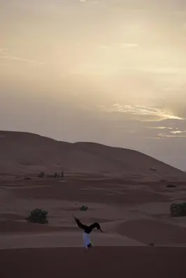a bird is flying in the desert at Beldi camp in Merzouga