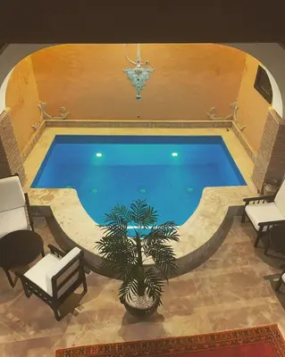 a large swimming pool with a plant in front of it at Riad Zyna in Meknès