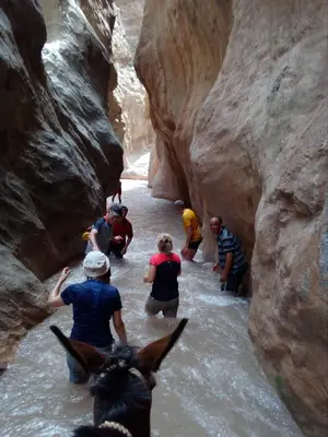 a group of people walking in the water in a canyon at Gte Tawada - Valle Heureuse - Chambre pour 3 Personnes in Agouti
