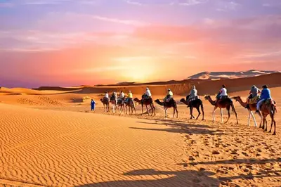 a group of people riding camels in the desert at Desert Luxury Camp in Mhamid