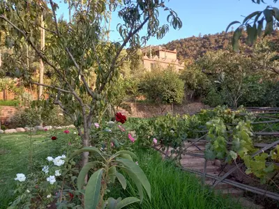 a garden with a bunch of flowers and a tree at Ourika Timalizène le jardin des délices in Tamzerdirt
