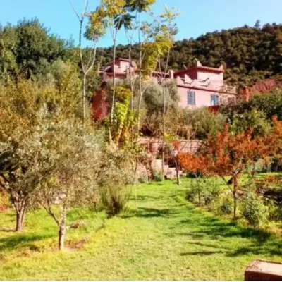 Ourika Timalizène le jardin des délices