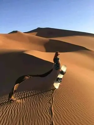 a woman standing on a snowboard in the desert at Camp Mhamid Sahara Tours in Mhamid