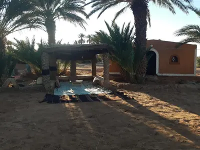 a building on a beach with palm trees in the background at Camp Mhamid Sahara Tours in Mhamid