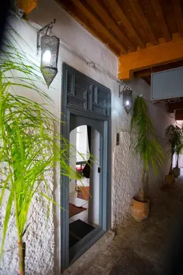 a door to a building with a plant and lights at Riad Safir in Meknès