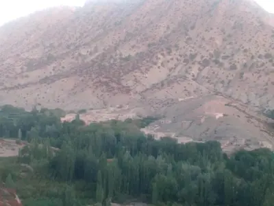 a mountain with trees in front of it at KASBAH Atlas-Aberdouz in Aït Hattab