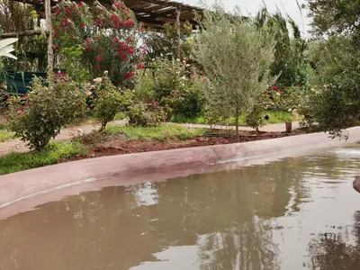 a pool of water in a garden with plants at Soo Bin in Bine el Ouidane