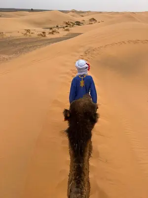 a person riding a camel in the desert at Desert Camel Trekking Camp in Hassilabied