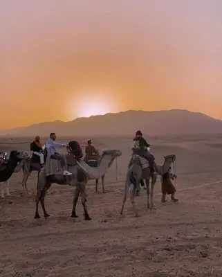 a group of people riding on camels in the desert at Bivouac ZAGORA in Zagora