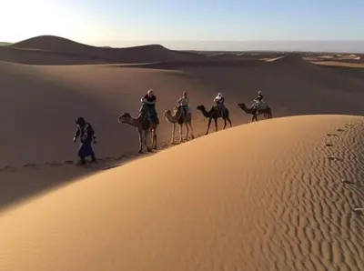 a group of people riding camels in the desert at Nomadic Stay in Mhamid