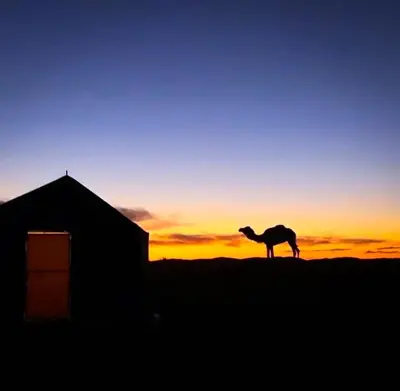 a camel standing on top of a hill at sunset at Nomadic Stay in Mhamid