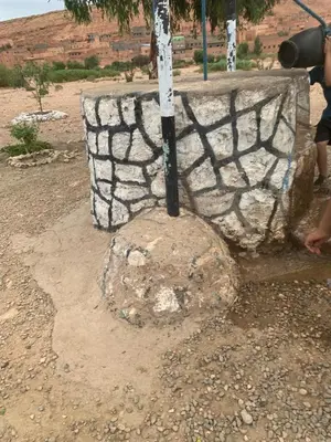 a rock with a tree on top of it at Berberbayt lodge maison privé in Tinerhir