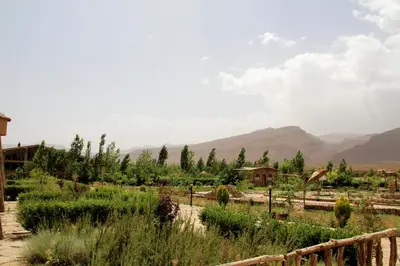 a garden with trees and mountains in the background at AZIGHAME Complexe Touristique in Tinerhir