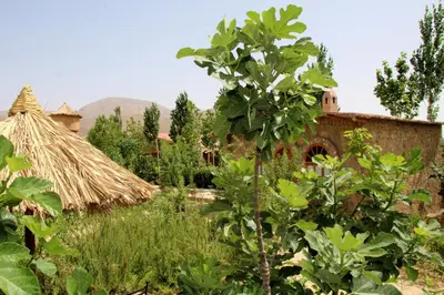 a garden with a thatched building and a tree at AZIGHAME Complexe Touristique in Tinerhir