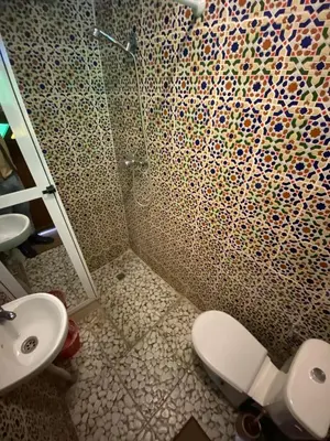 a bathroom with a shower and a toilet and a sink at Riad Dar Rabha in Fès