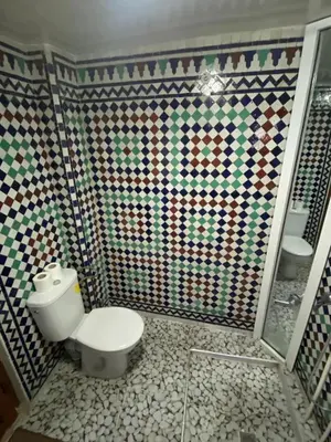 a bathroom with a toilet and a tiled wall at Riad Dar Rabha in Fès
