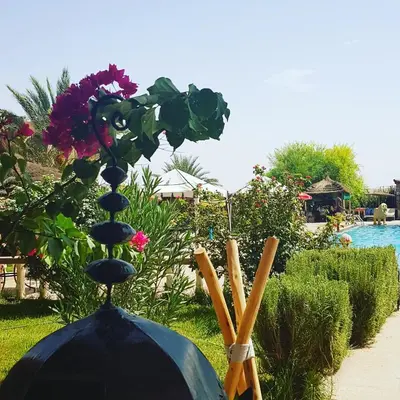 a vase filled with flowers sitting on top of a table at Salma Palms Hôtel in Madkhal Meski