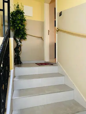 a hallway with stairs with a potted plant at The Best Stop in Midelt