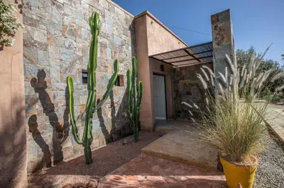 a cactus in front of a building with a door at Villa Mayaz - Piscine chauffée in Marrakech