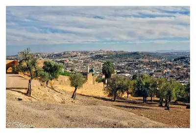 a view of a city from a hill with trees at Riad Layalina Fes in Fès