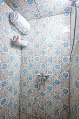 a shower in a bathroom with a tiled wall at Riad Mahrez in Fès