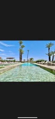 a large pool of water with palm trees in the background at Bakkal Farm Agrolodge in Marrakech