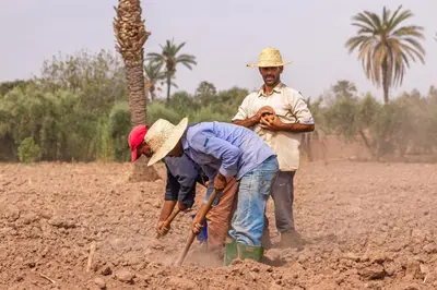 two men are working in a field of dirt at Bakkal Farm Agrolodge in Marrakech