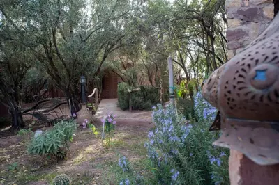 a garden with purple flowers and trees at Afoulki Ecotourism Guest House in Telouet
