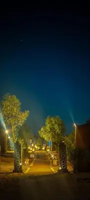 a park lit up at night with trees and lights at Merzouga Camel Trekking Camp in Merzouga