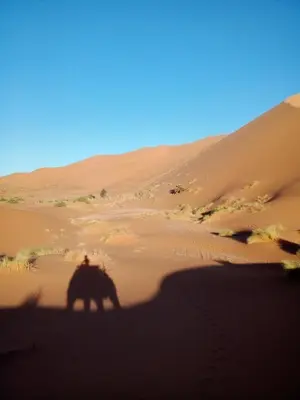 a man riding an elephant through the desert at Merzouga Ana luxury Camp in Merzouga