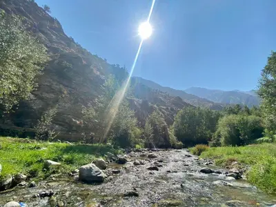 a river in the mountains with the sun shining at La Perle de l'Ourika in Ourika