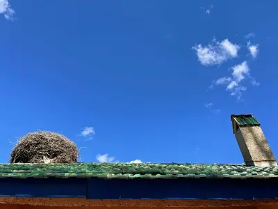 a pile of hay on top of a roof at Gîte Camping Amazigh in Azrou